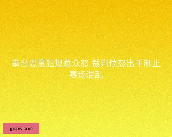 拳台恶意犯规惹众怒 裁判愤怒出手制止赛场混乱