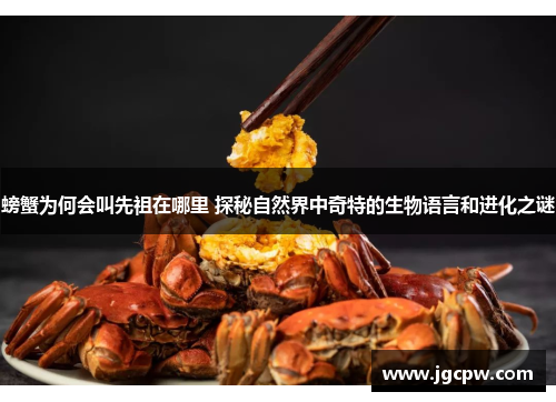 螃蟹为何会叫先祖在哪里 探秘自然界中奇特的生物语言和进化之谜