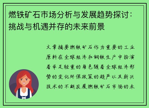 燃铁矿石市场分析与发展趋势探讨：挑战与机遇并存的未来前景